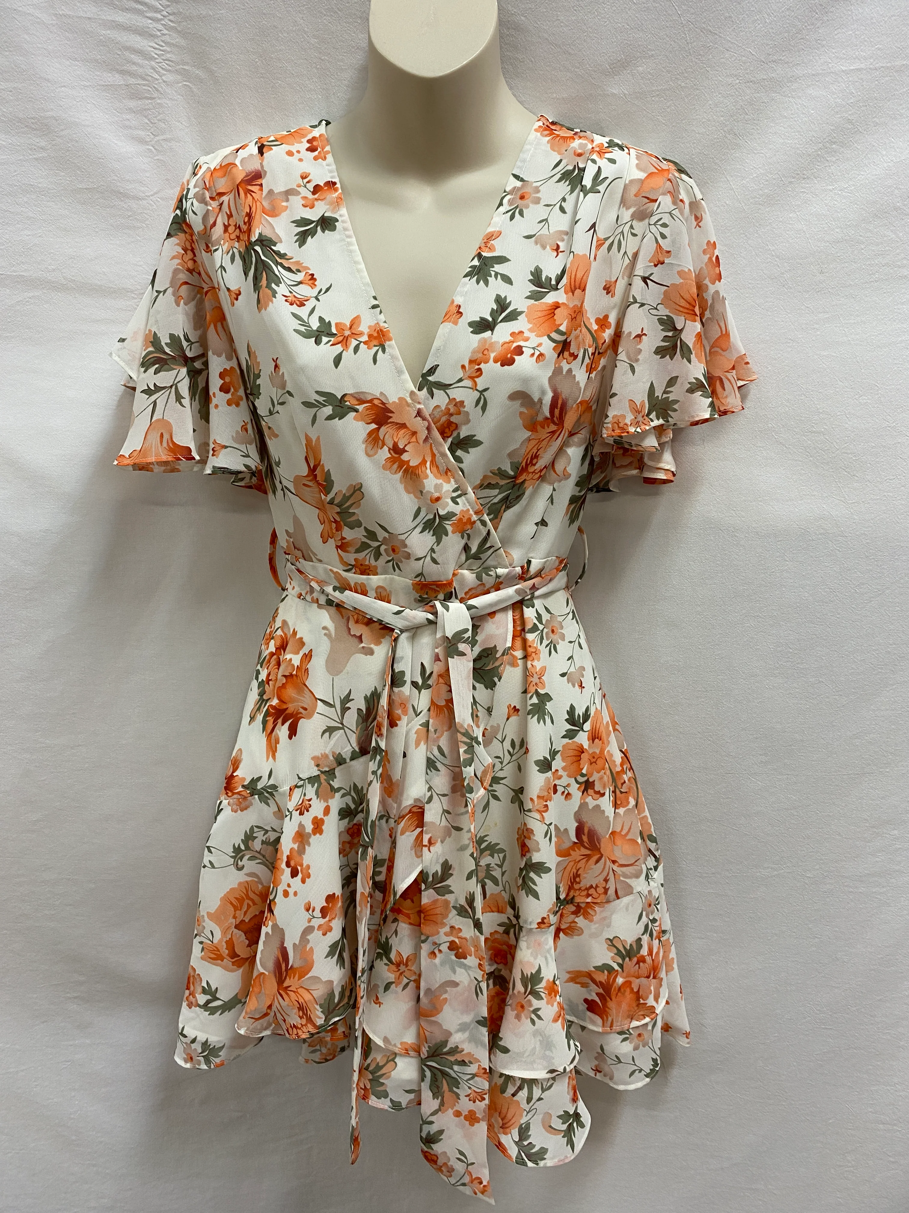 Saints + Secrets Womens Dress Size 6